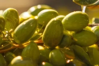 İzmir Kooperatifçilik Buluşmaları 19 Aralık